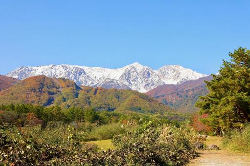 三段紅葉 白馬 三段紅葉 白馬 山,風景,自然の写真素材