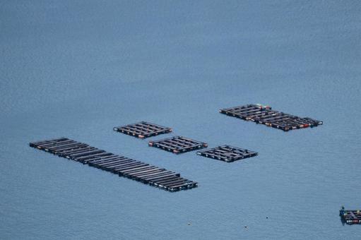 五老ヶ岳公園から見た京都府舞鶴湾の雲海の写真