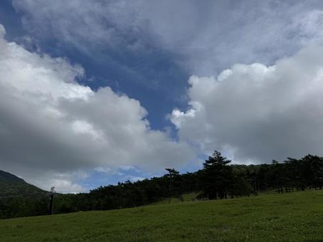 Photo, green, fresh green, mountain, 