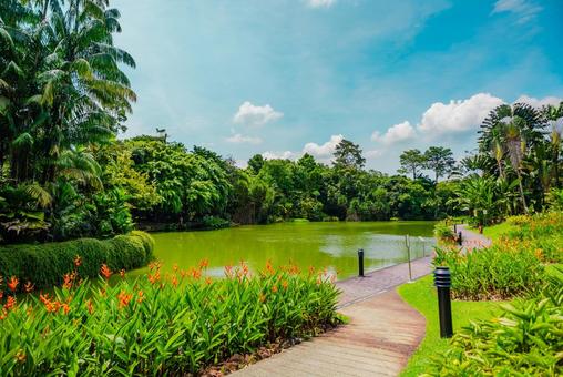 【シンガポール】植物園オーキッドガーデン ナショナル,オーキッドガーデン,植物園の写真素材