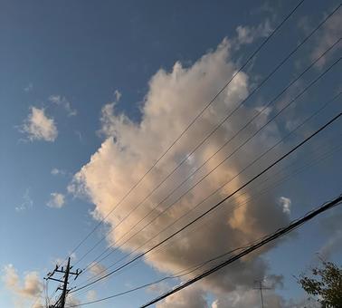 夕焼け帰り道の写真