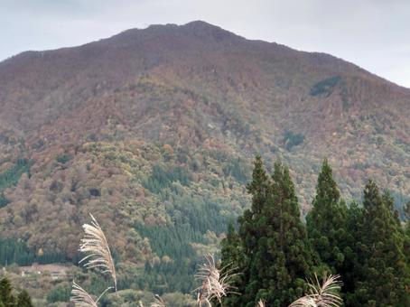 秋の山 秋,山,木の写真素材