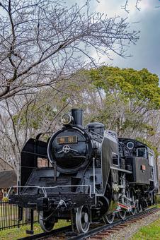 展示されているC11　蒸気機関車 展示,蒸気機関車,slの写真素材