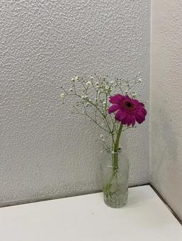 Photo, wine red flowers, flower, interior, 