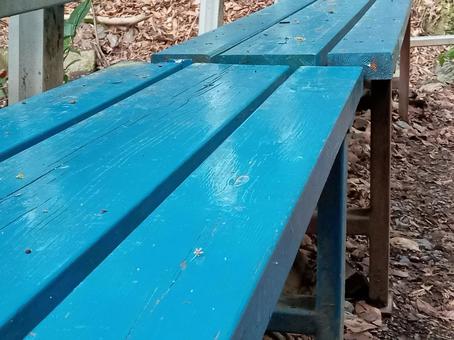 Blue bench, JPG Blue bench, JPG