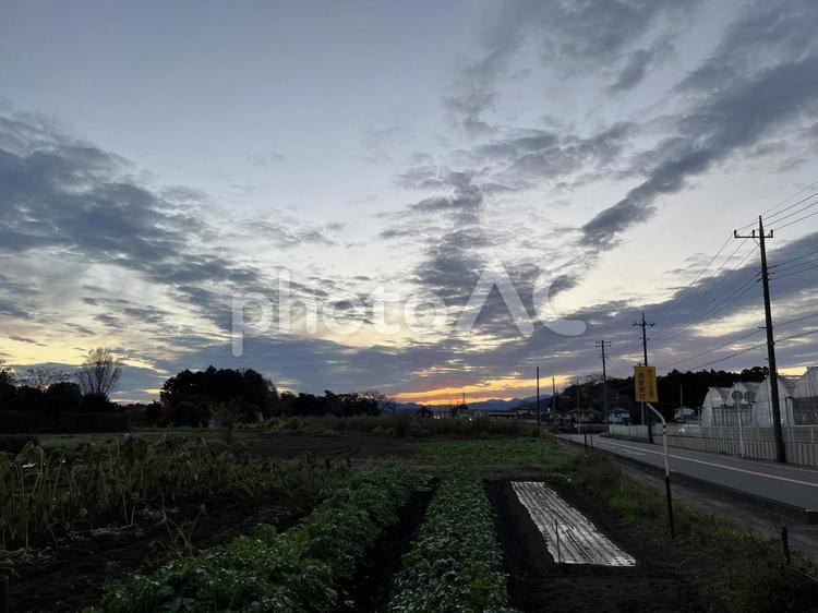 農地の夕焼け 農地,夕焼け,近郊の写真素材