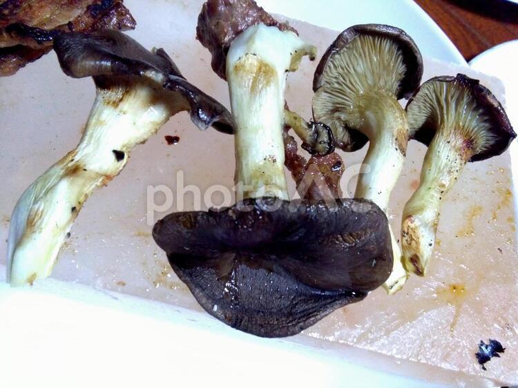 岩塩プレートに乗ったお野菜とお肉 お肉,きのこ,キノコの写真素材