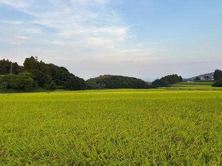 田園風景 田園風景 田園,風景,空の写真素材