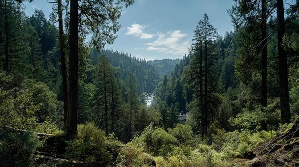 遠く霞む山々と広がる自然の風景 遠く霞む山々と広がる自然の風景の写真