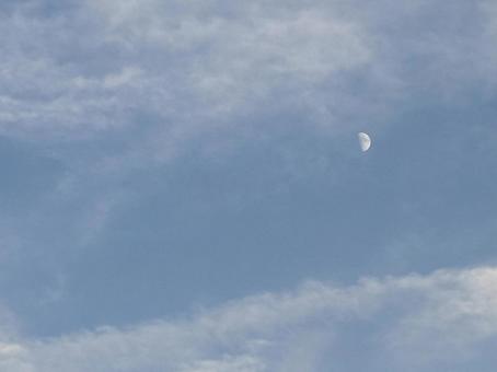 白い半月 白い月,月,空の写真素材