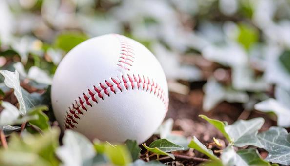 野球イメージ 机の上の野球ボール 野球イメージ 机の上の野球ボールの写真