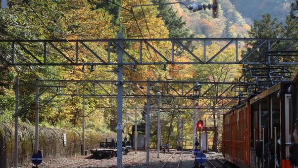 黒部峡谷に秋を訪ねて 秋,風景,自然の写真素材