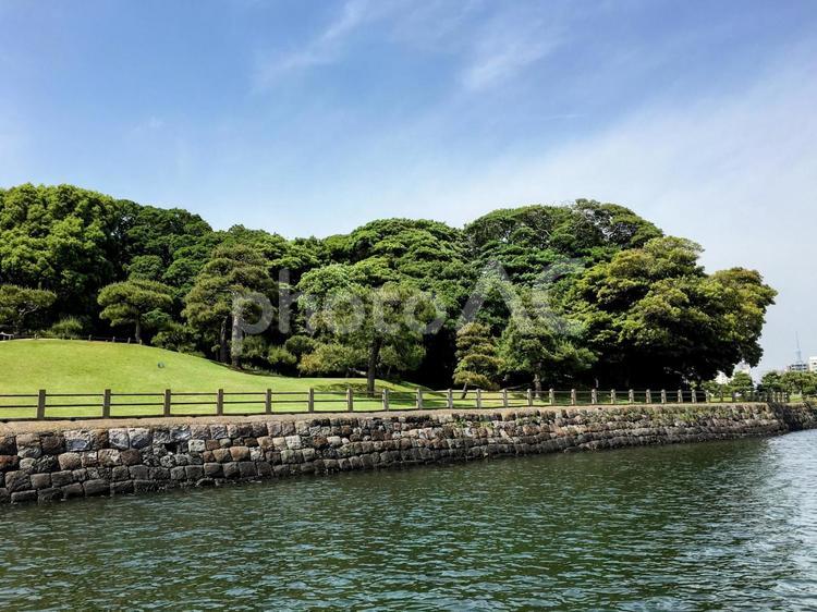 海から見た公園 海,公園,浜離宮の写真素材