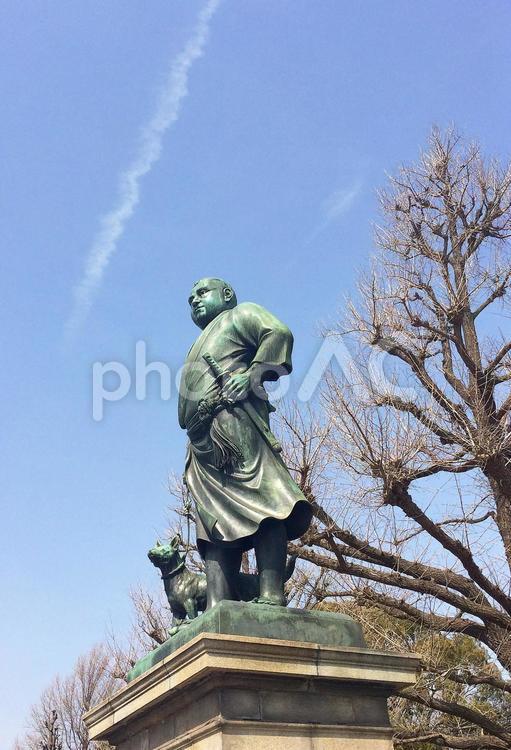 東京風景・上野公園 上野公園,上野恩賜公園,西郷隆盛像の写真素材