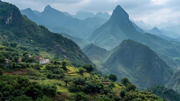 広大な森林が広がる雄大な山岳風景の写真