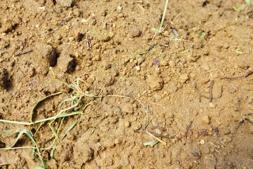 地面 地面,屋外,土の写真素材
