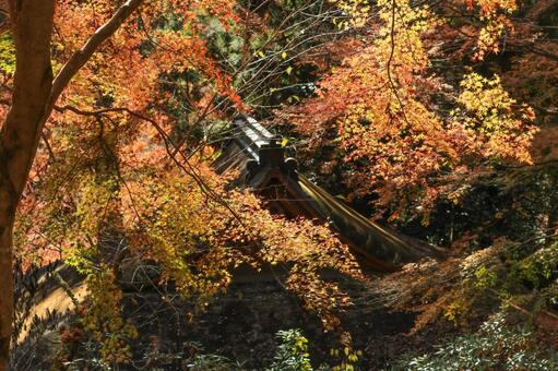 室生寺 室生寺,弥勒堂,女人高野の写真素材