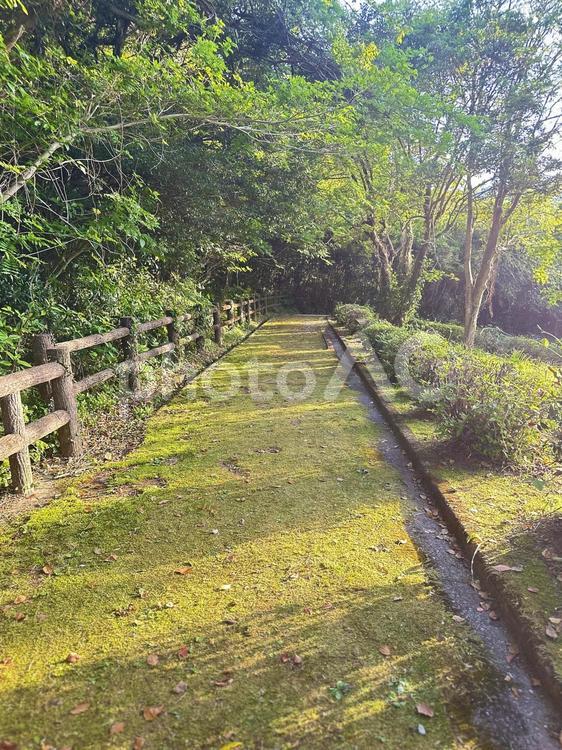 新宮市　丸山公園　遊具 新宮市,丸山公園,春の公園の写真素材