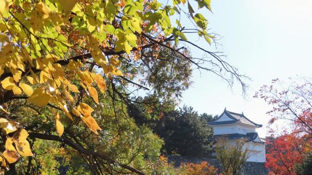 名古屋城　本丸　西南隅櫓と紅葉 名古屋城,尾張徳川家,御三家の写真素材