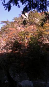 山梨県の紅葉 山梨県の紅葉の写真
