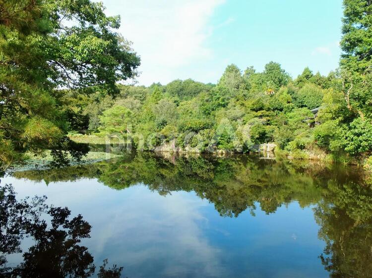 京都府・龍安寺の鏡容池 龍安寺,鏡容池,世界遺産の写真素材