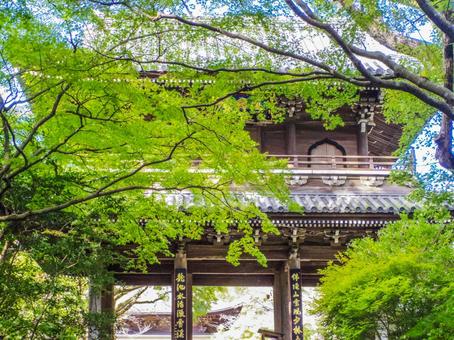 【山口県】下関市・功山寺 功山寺,長府,下関の写真素材
