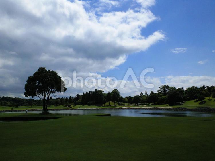 爽やか・快晴のゴルフ場 快晴,ゴルフ,ゴルフ場の写真素材