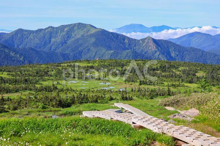 苗場山 苗場山,新潟,日本百名山の写真素材