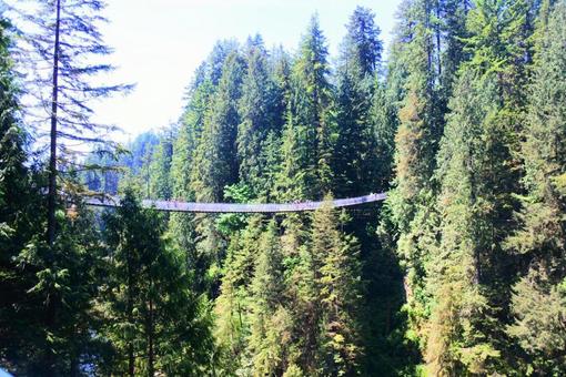 Photo, canada, british columbia, district of north vancouver, 