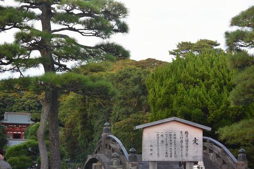 鎌倉の八幡宮 鎌倉の八幡宮 八幡宮,鎌倉,風景の写真素材