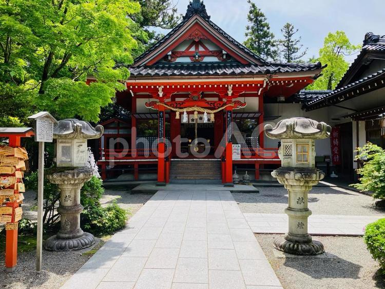 金澤神社　社殿 金澤神社,石川県金沢市,神社の写真素材
