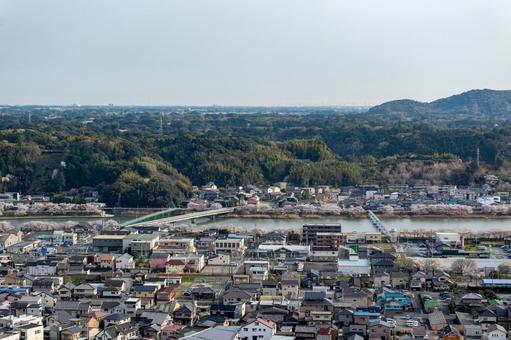 都田川の桜並木 風景,自然,春の写真素材