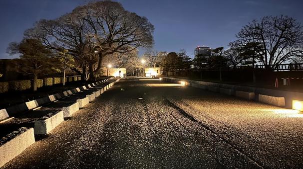 夜の大阪城公園 夜の大阪城公園の写真
