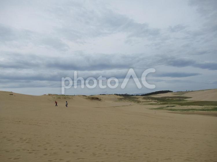 砂浜の風景 鳥取砂丘,砂丘,砂漠の写真素材