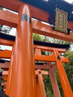 Photo, fushimi-inari taisha, thousand phnom penh, red torii, 