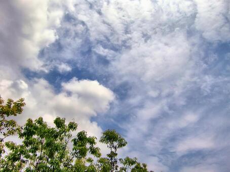 六月の雲-27 六月,青空,空の写真素材