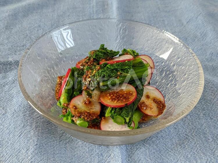 春野菜の彩りサラダ（菜の花とラディッシュ） サラダ,料理,菜の花の写真素材