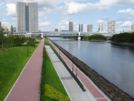 東京の川の風景 東京の川の風景の写真