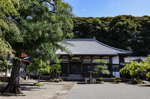 永渓山泰智寺 永渓山泰智寺 寺院,寺,本堂の写真素材