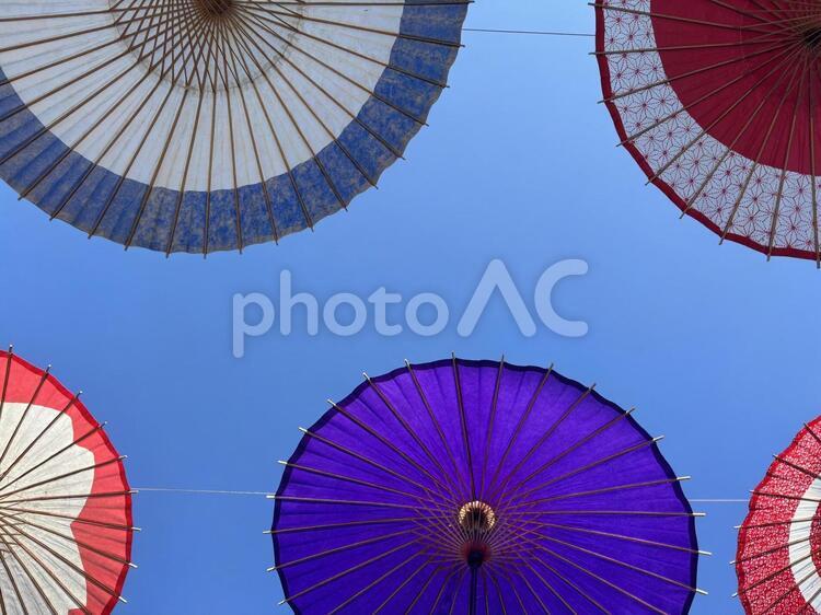 日本の和傘 かさ,傘,お祭りの写真素材