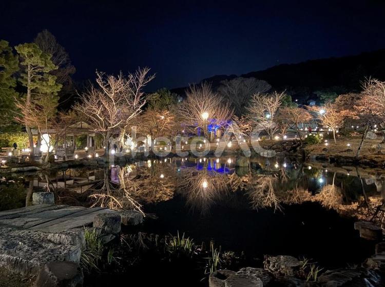 風景写真　京都円山公園の夜景 空,自然,屋外の写真素材