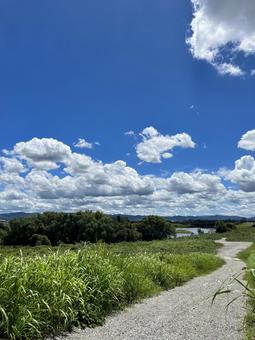 夏の京都桂川 夏の京都桂川の写真