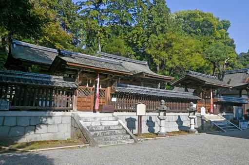 滋賀・近江八幡 奥石神社 諏訪社 本殿 滋賀・近江八幡 奥石神社 諏訪社 本殿 奥石神社,諏訪社,本殿の写真素材