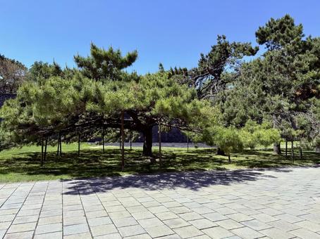 北陵の内庭 北陵の内庭 北陵公園,中国,海外の写真素材