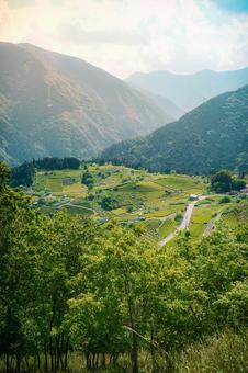 自然風景 自然風景 天空の茶畑,自然,風景の写真素材