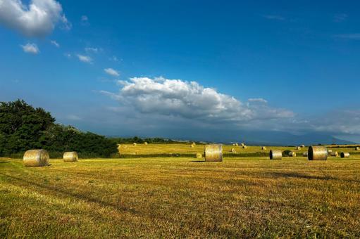 牧草ロールのある風景6 牧草ロールのある風景6の写真