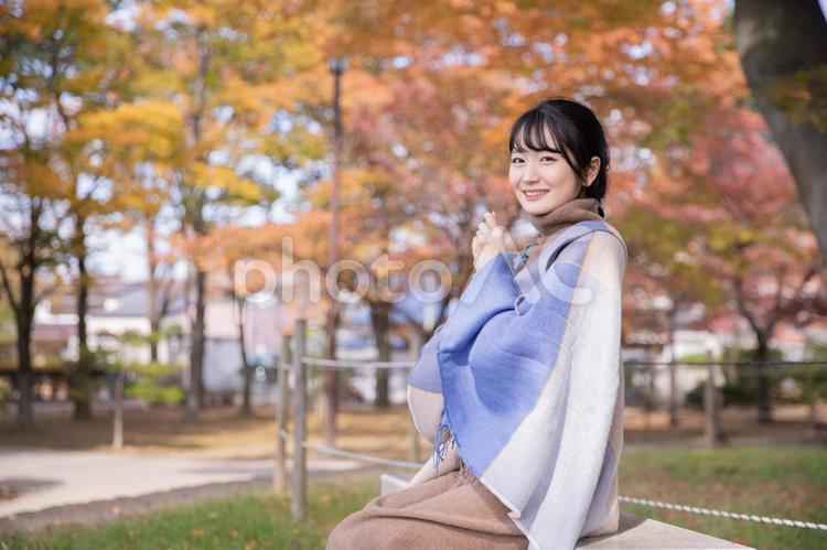 秋・冬を感じる女性 秋,紅葉,冬の写真素材