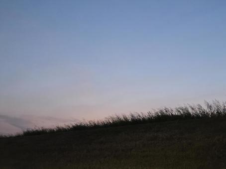 朝の丘 朝の丘 晴れ,風景,朝日の写真素材