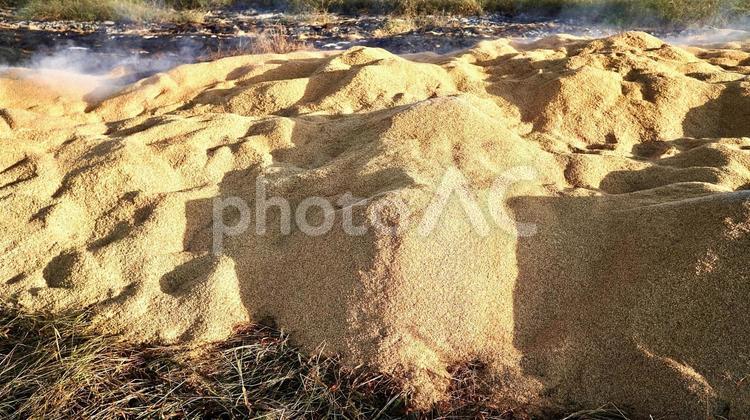 田んぼに溜まった燃えているもみがらの山 もみがら,田,野焼きの写真素材