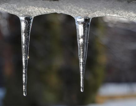 冬の日の綺麗なつらら、氷柱3 氷,冬,朝の写真素材